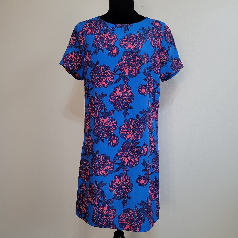 J. Crew Dress